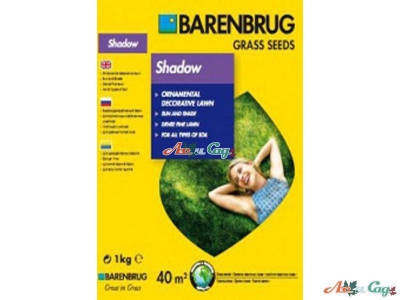 Насіння газонної трави Barenbrug Shadow 1 кг