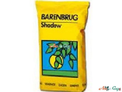 Насіння газонної трави Barenbrug Shadow 5 кг