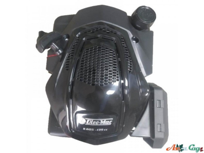 Двигун Oleo-Mac К605 OHV 139сс