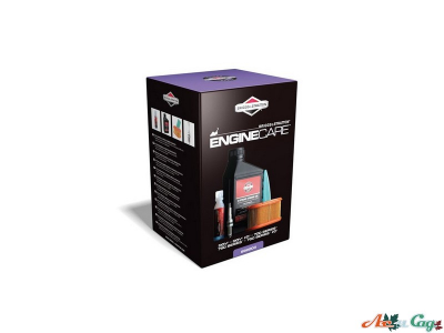 Набор для обслуживания двигателя Briggs&Stratton Series 700, 750