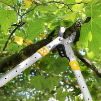 Сучкорез телескопический GRUNTEK XT 27-37 Premium с наковаленкой 685-940мм